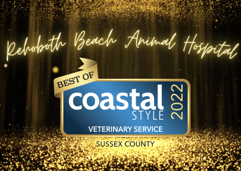Carousel Slide 1: Rehoboth Beach Animal Hospital Best of Coastal Style 2022
