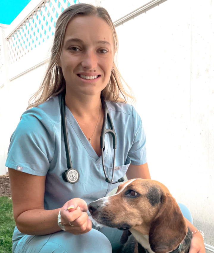 Experienced Veterinarians | Animal Hospital in Rehoboth Beach