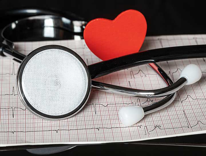 Pet Cardiology in $city